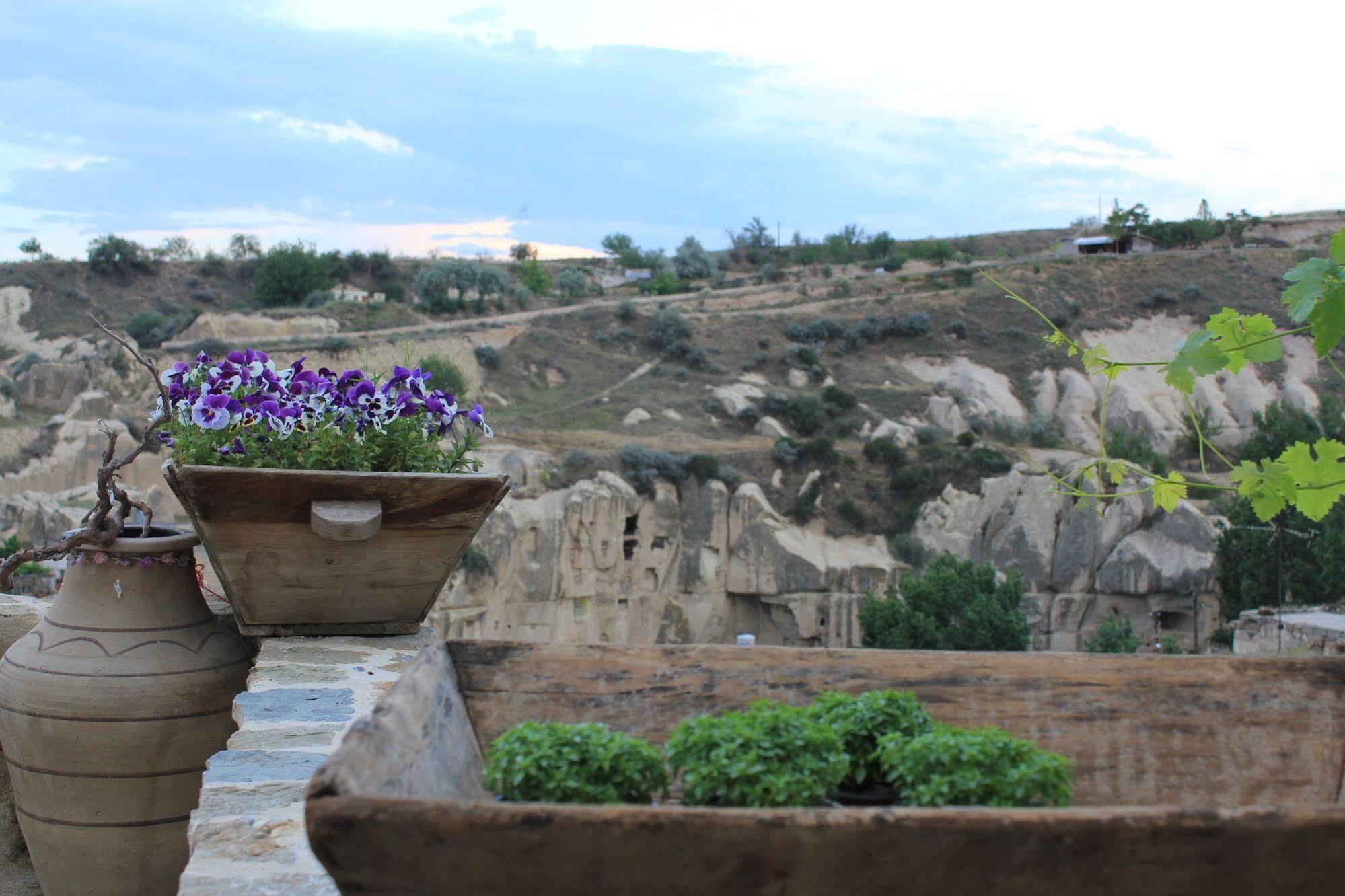 Anitya Cave House Apart Hotel Ortahisar ภายนอก รูปภาพ